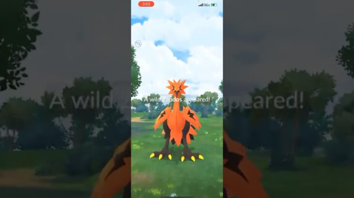 I Caught THIS GALARIAN BIRD With A Critical Catch in Pokemon Go! #shorts #pokemon