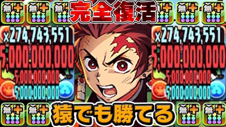 炭治郎の復活が激アツすぎたシルドラン降臨【パズドラ】