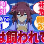 ギリギリ実家で飼うことが出来そうなウマ娘に対するみんなの反応集【4th Anniversary】【ウマ娘プリティーダービー】