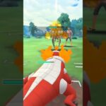 陽光カップの対戦動画#ポケモンgo