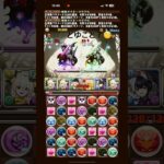 おや？HPとダメージ量が合ってないぞ？？#パズドラ #メイドイデアル