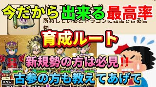 [ドラクエウォーク]今だから出来る育成ルート！古参の方も周りに困ってる新規の方がいればこれを！[ドラゴンクエストウォーク][dqw]