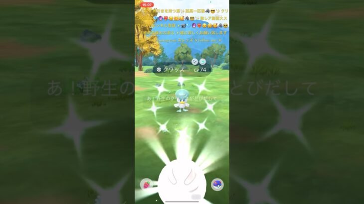 ✨【初図鑑登録】【ポケモンGO】【クワッスコミュニティデイ】【色違い降臨】🐥📹💎🔮❤️‍🔥😉🤗🥰🐺😎✨今日はルチルちゃんと🐇🐰癒され家ポケ活したよ✨#ポケモンgo #ポケモン