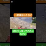 自分のせいで全滅！！ #荒野行動 #荒野gogofes #荒野行動キル集