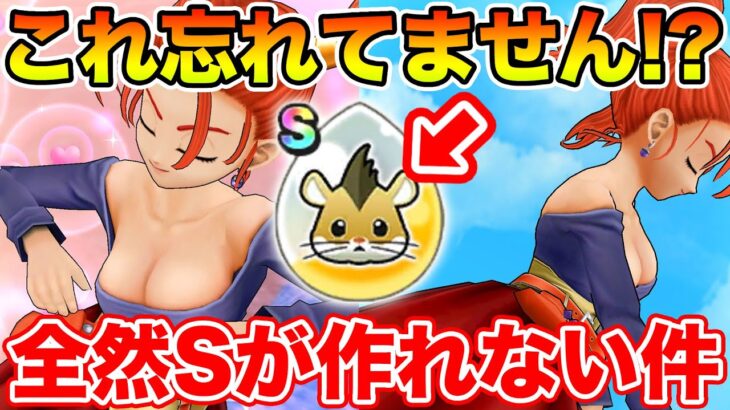 【ドラクエウォーク】8ReWALKでコレ忘れてませんか!? 全っっ然Sが出来ないんですけど!?【DQW】