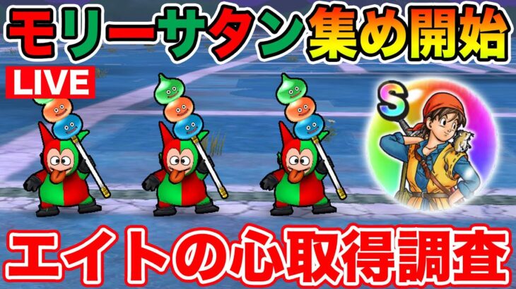 【ドラクエウォーク】エイトのこころ取得率調査しながらモリーサタンを集めます!!【DQW】