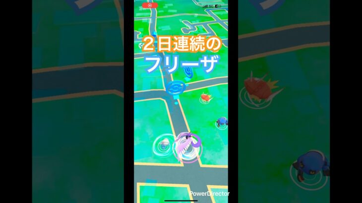 ガラルフリーザー‼️#ポケモンgo #ポケモン #ポケットモンスター #pokemongo #pokemon #gaming