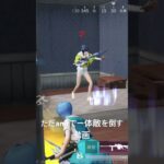 荒野行動【荒野の光】