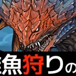 【闇以外出禁でも】ネロミェールは止まらない【パズドラ】