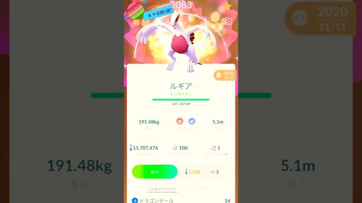 【ポケモンGO】みなさん色違いのルギアの100%持ってる⁉︎#ポケモンgo #ポケモン #shorts #short #キラ #色違い #きんのおうかん   #tiktok