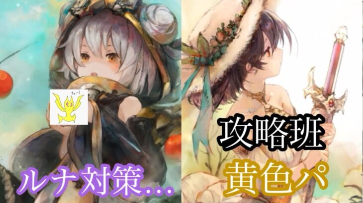 【メメントモリ】夏アムと夏ニーナ復刻！現状の無微の評価ですよ【メメモリ】