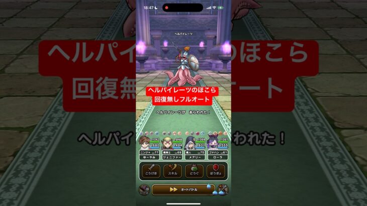 ヘルパイレーツのほこら 回復無しフルオート攻略 【ドラクエウォーク】