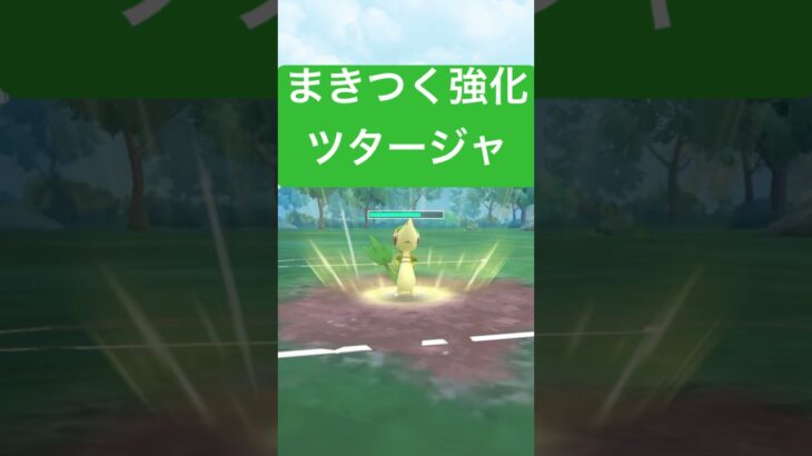 『ポケモンGO』技強化で強いツタージャ【エレメントカップ】#ポケモンgo #ポケモン #pokemongo #pokemon #ゲーム #ゲーム実況 #shorts #short