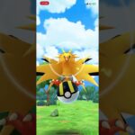 ✨Shiny Zapdos ✨- Pokémon GO #pokemongoshorts #pokemongo #shinypokemon #ポケモンgo #ポケモン