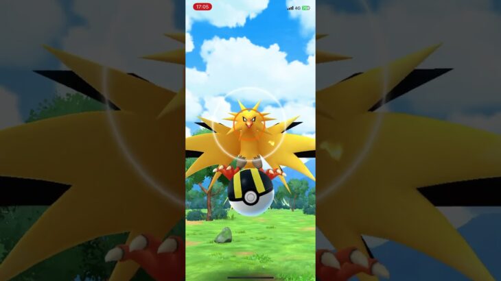 ✨Shiny Zapdos ✨- Pokémon GO #pokemongoshorts #pokemongo #shinypokemon #ポケモンgo #ポケモン