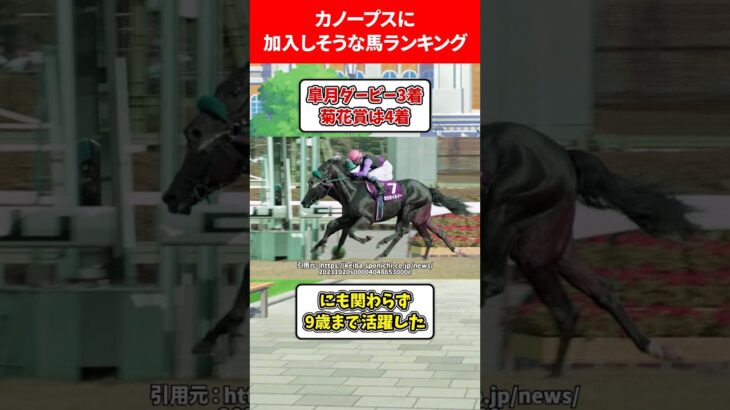 カノープスに加入しそうなウマ娘ランキング #ウマ娘プリティーダービー
