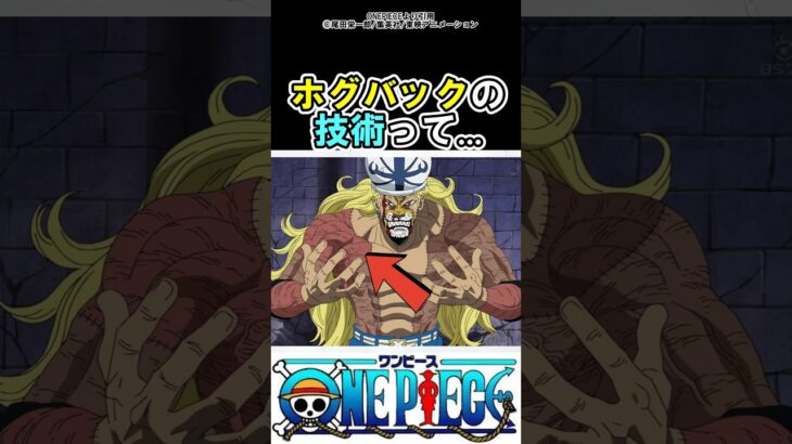 【ワンピース】ホグバックの技術って#ワンピース