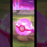 GOフェスマックスフィナーレ楽しかったー‼️#ポケモンgo