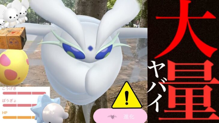 【ポケモンGO・生実況】え！まさかの降臨！？実は〇〇でも可能！！初日とユキハミとワッカネズミの結果・・？【モスノウ・3匹家族・イッカネズミ・Frosmoth・Pokemon GO】