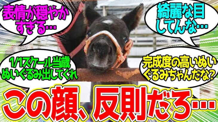 このユーバーレーベンに可愛さで勝てる競走馬いない説に対するみんなの反応！ 【競馬 の反応集】