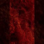 # new hand up song #ウマ娘プリティーダービー