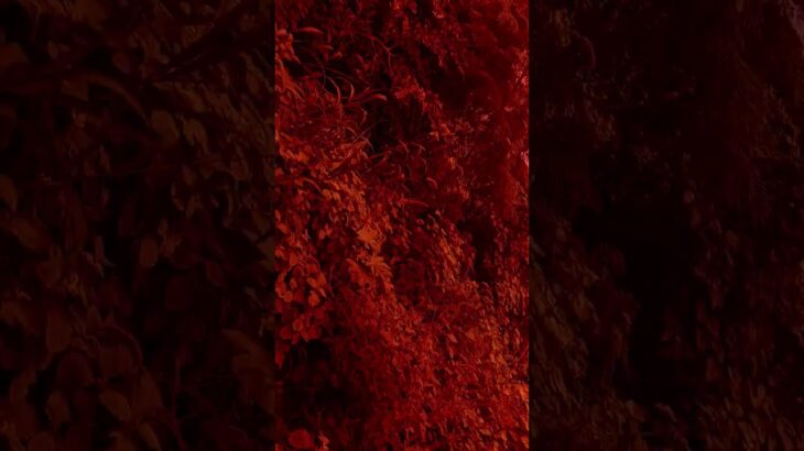 # new hand up song #ウマ娘プリティーダービー