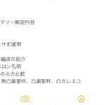 【FGO】オルガマリーの宝具3連射運用＆ダメージについて超詳細に解説する動画　後半、1、2臨のサブアタ性能の優秀さについても語ります。