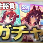 【ウマ娘/ガチャ】シオンガチャ!!! １天勝負!!! ２枚出てくれ～!!!　まったり雑談しながら楽しもう♪　●初見さん歓迎●　【ウマ娘プリティーダービー/Vtuber/個人Vtuber/かめめ/配信】