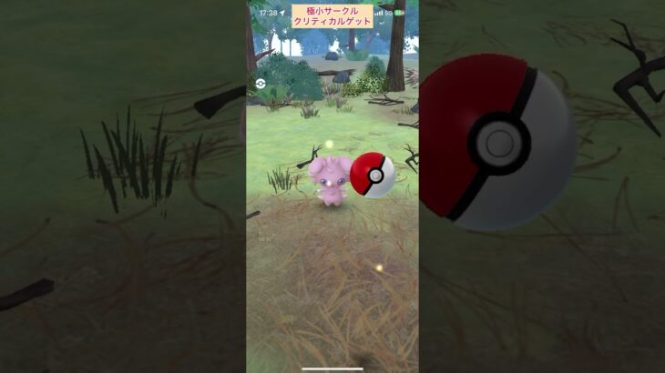 【難易度高】色違いニャスパー極小サークルクリティカルゲット【ポケモンGO】