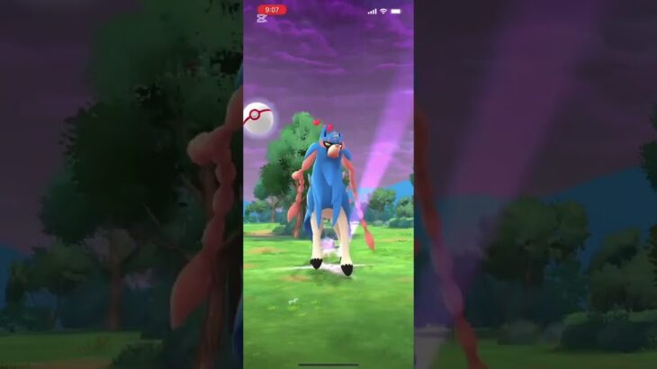 #Pokémon GO #ザシアン#ポケモンゴー