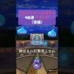 【ドラクエウォーク】ブルフィオーレガチャリベンジ🍆20連で奇跡が…！？