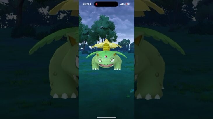 色違いフシギバナメスゲットチャレンジ【ポケモンGO】