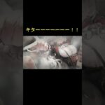 【ラストチャンス】団長コルディ10連リベンジ！1枚だけ確保するつもりがまさかの結果に！？　#games #メメモリ #ゲーム #ショート