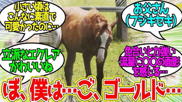 おとうさんみたいにりっぱなきょうそうばになりたいです…に対するみんなの反応！【競馬 の反応集】