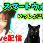 【ドラクエウォーク配信】スマートウォークをいっしょに見よう！新章は来るのか来ないのかどっち！？【ひなさんゲ。】