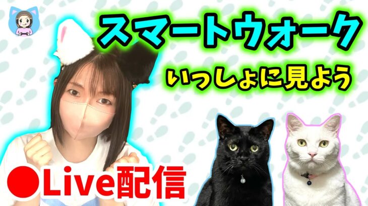 【ドラクエウォーク配信】スマートウォークをいっしょに見よう！新章は来るのか来ないのかどっち！？【ひなさんゲ。】