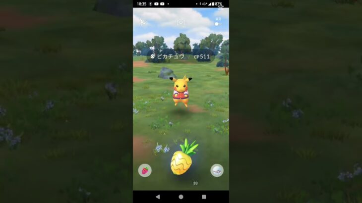 ピカチュウレイド＃ポケモンgo