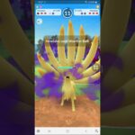 GO Battle : #venusaur #blastoise #zekrom 🆚️ #ninetales #empoleon #stoutland #ポケモンgo #summercup