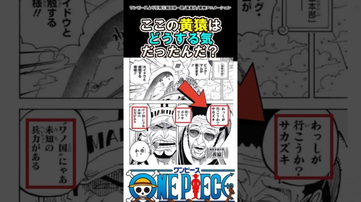 【ワンピース】黄猿はワノ国行ってなにしようとしたんだろ？#ワンピース