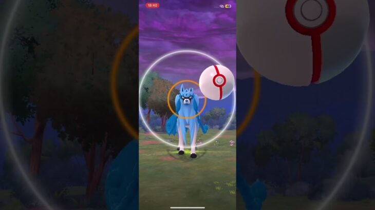 みんなはザシアンとザマゼンタどっち派😊？ #ポケモンgo #ザシアン #pokemongo #レイド