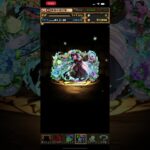 【パズドラ】執事とメイドとパズドラカフェガチャ【5連】　#shorts #パズドラ #影狼の遊び場