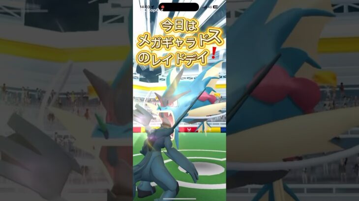 メガギャラドスレイドデイで経験値稼ぎ！#ポケモンgo #色違い #レイド #メガシンカ