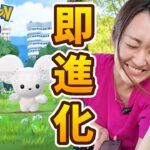 ワッカネズミ100%!? 色違い!?とにかく進化ガチャした結果…【ポケモンGO】