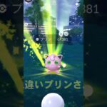 色違いプリンゲット。抹茶プリン？ポケモンGO、Pokémon GO いろちがいのかわいいポケモン。捕獲、やせい野生