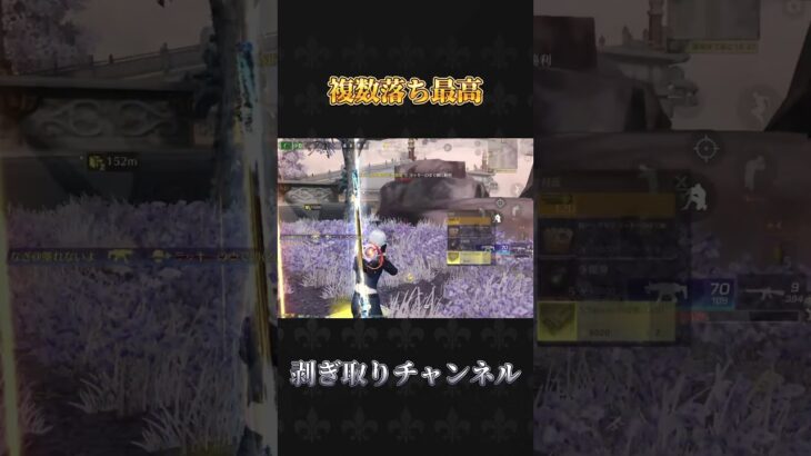 複数剥ぎ取り最高😃#荒野行動 #knivesout #ペニンシュラ大脱走