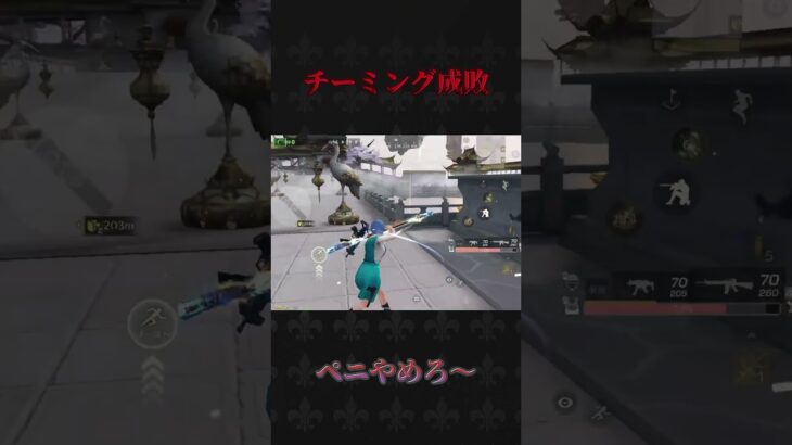 チーミング成敗チャンネル#荒野行動 #knivesout #ペニンシュラ大脱走