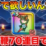 【ドラクエウォーク】おまたせしました、今日からまたブル鞭生活始めます!!【DQW】