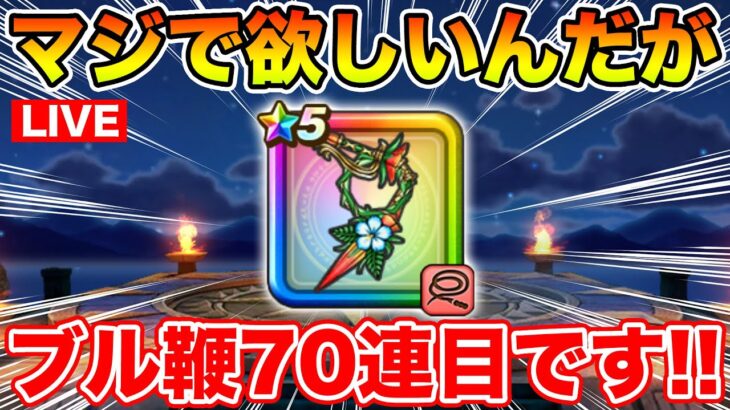 【ドラクエウォーク】おまたせしました、今日からまたブル鞭生活始めます!!【DQW】