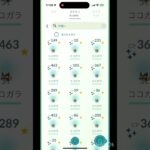 【ポケモンGO】ココガラ色違い 何体捕まえた？コミュニティデイ：ココガラ