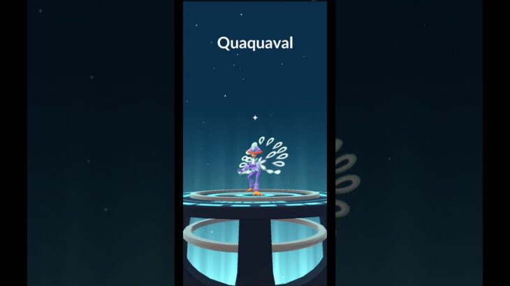 Shiny Quaxly Evolution Showcase! Quaxly → Quaxwell → Quaquaval | Pokemon GO Shorts